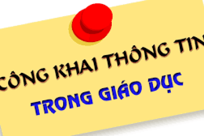 Phương án tổ chức dạy học lớp 10 năm học 2026-2027