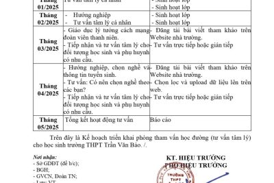 Kế hoạch triển khai phòng tham vấn học đường (tư vấn tâm lý) cho học sinh năm học 2024-2025